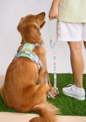 Parco Millé Summer Camp harness set