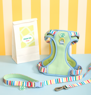 Parco Millé Summer Camp harness set