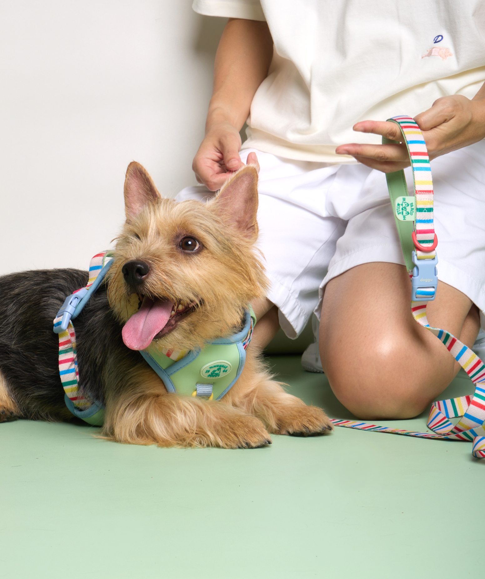 Parco Millé Summer Camp harness set