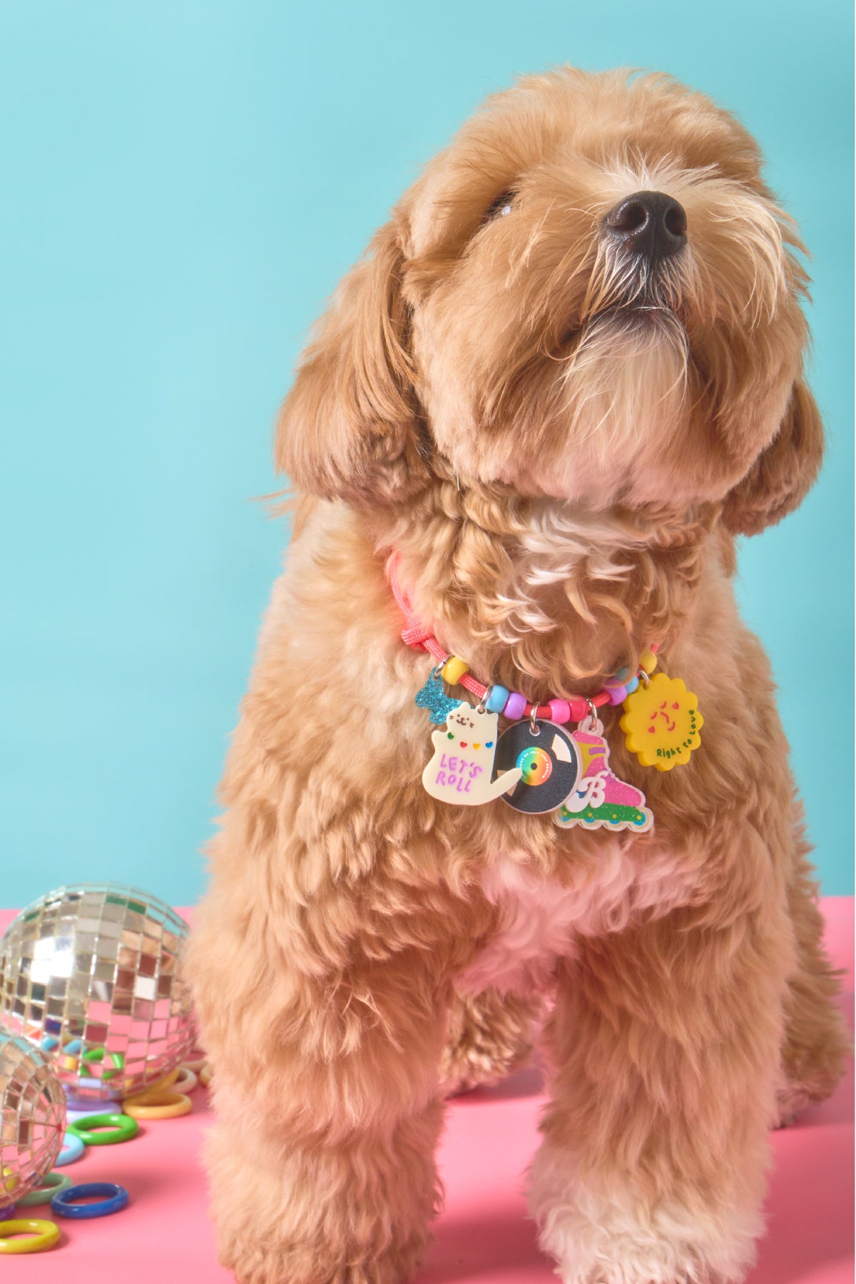 Create your own : Rollin' Pride Necklace