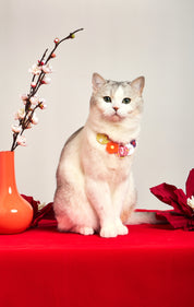 Lucky Dragon Lantern Necklace : XIAO BAO SET MD'S PICK
