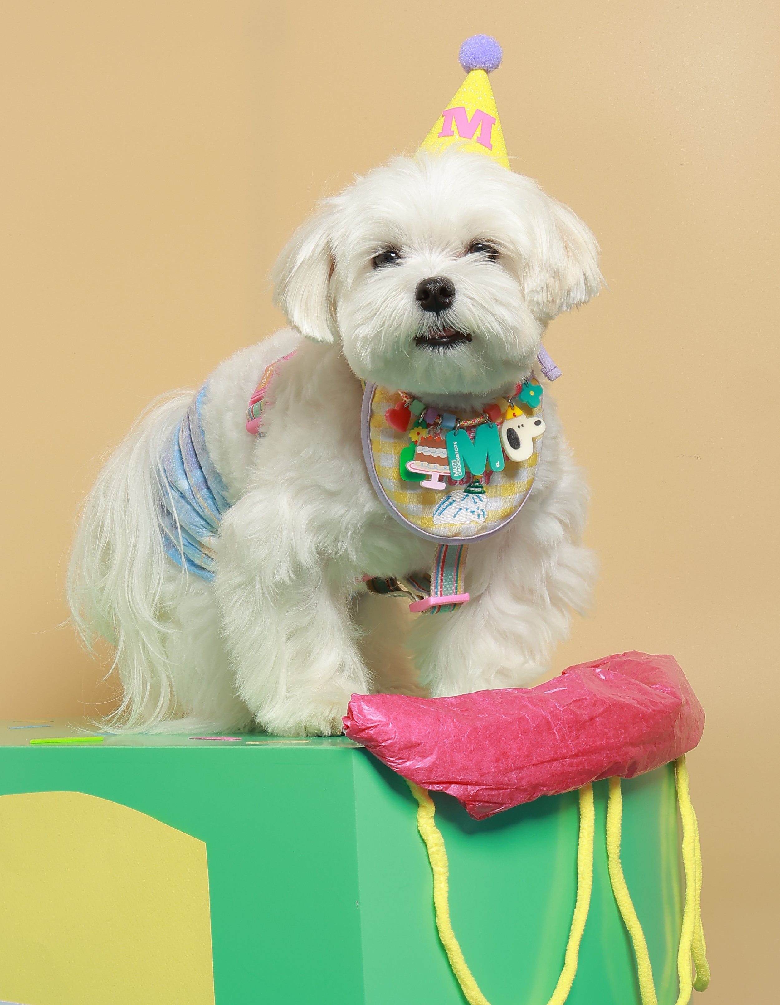 Create your own : Birthday Pawty Necklace