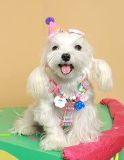 Create your own : Birthday Pawty Necklace