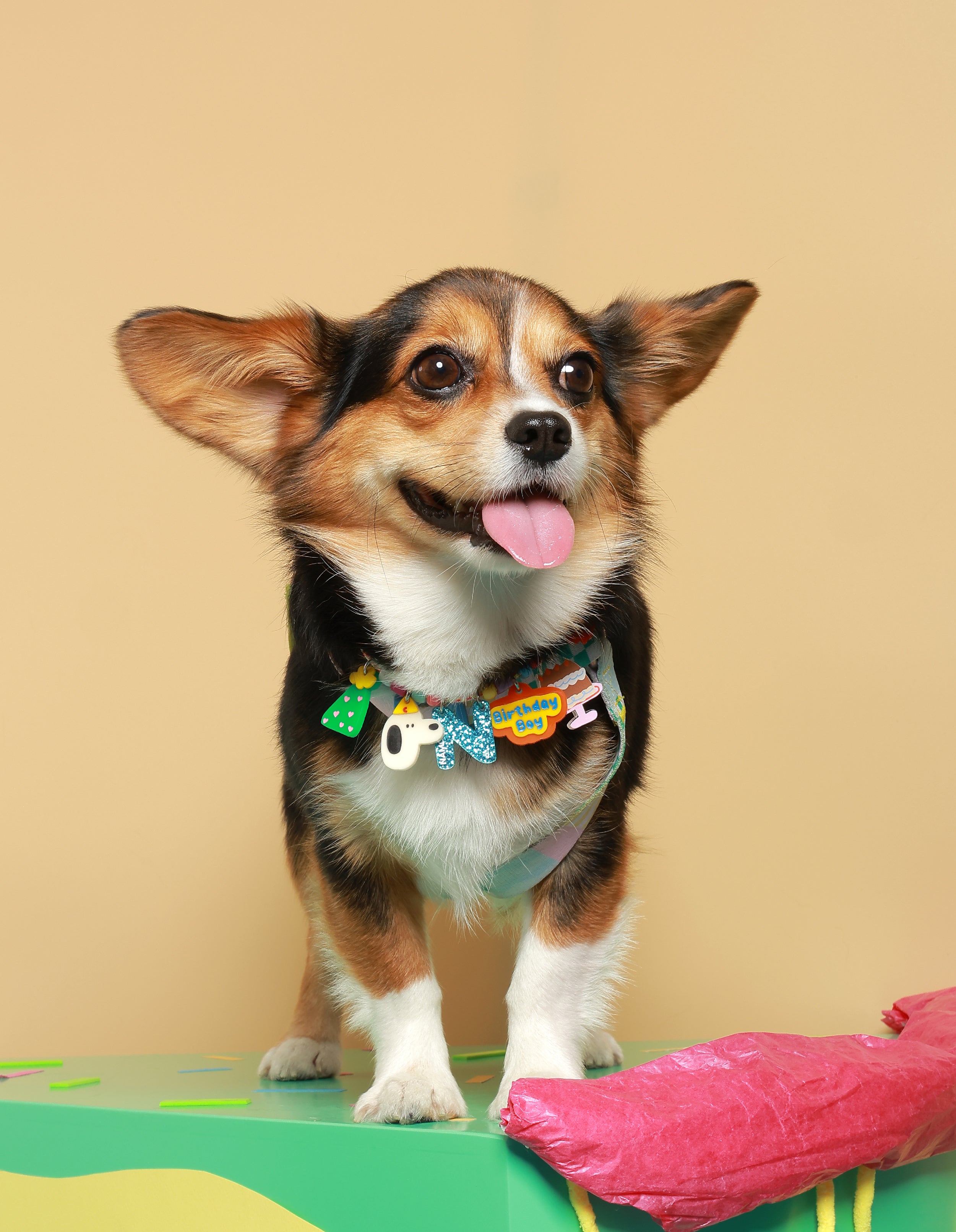 Create your own : Birthday Pawty Necklace