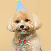 Create your own : Birthday Pawty Necklace