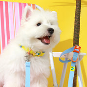 Palm Beach Club Waterproof Collar