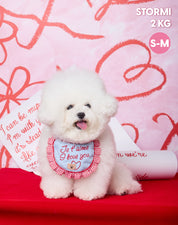 I love you BIB