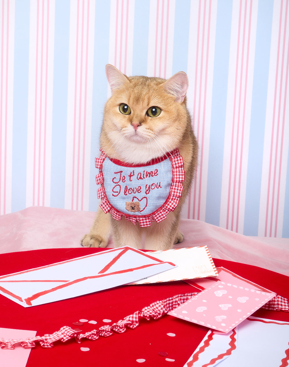 I love you BIB