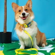 Palm Beach Club Leash