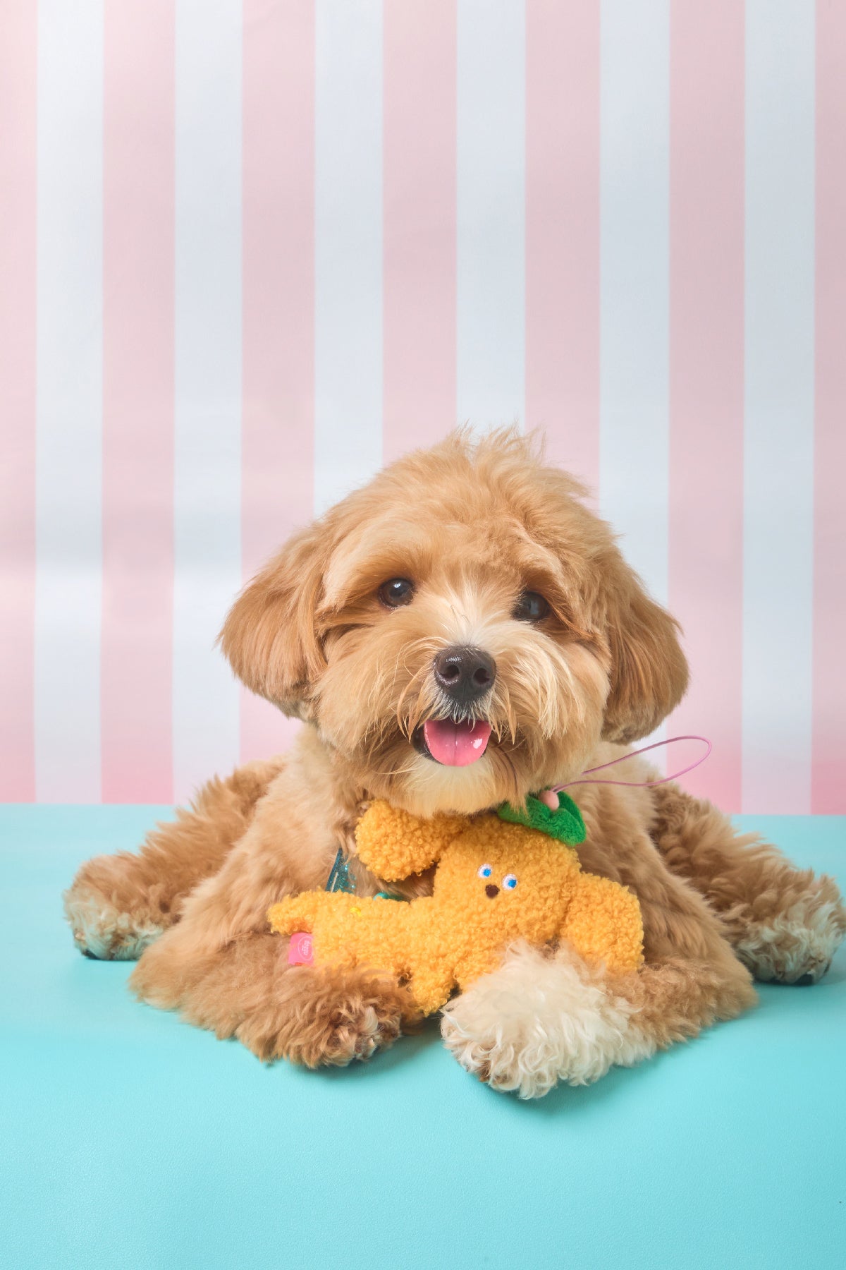 Ogo Ogo pet plushie keychain