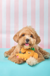Ogo Ogo pet plushie keychain