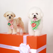 Holiday Reversible Scarf
