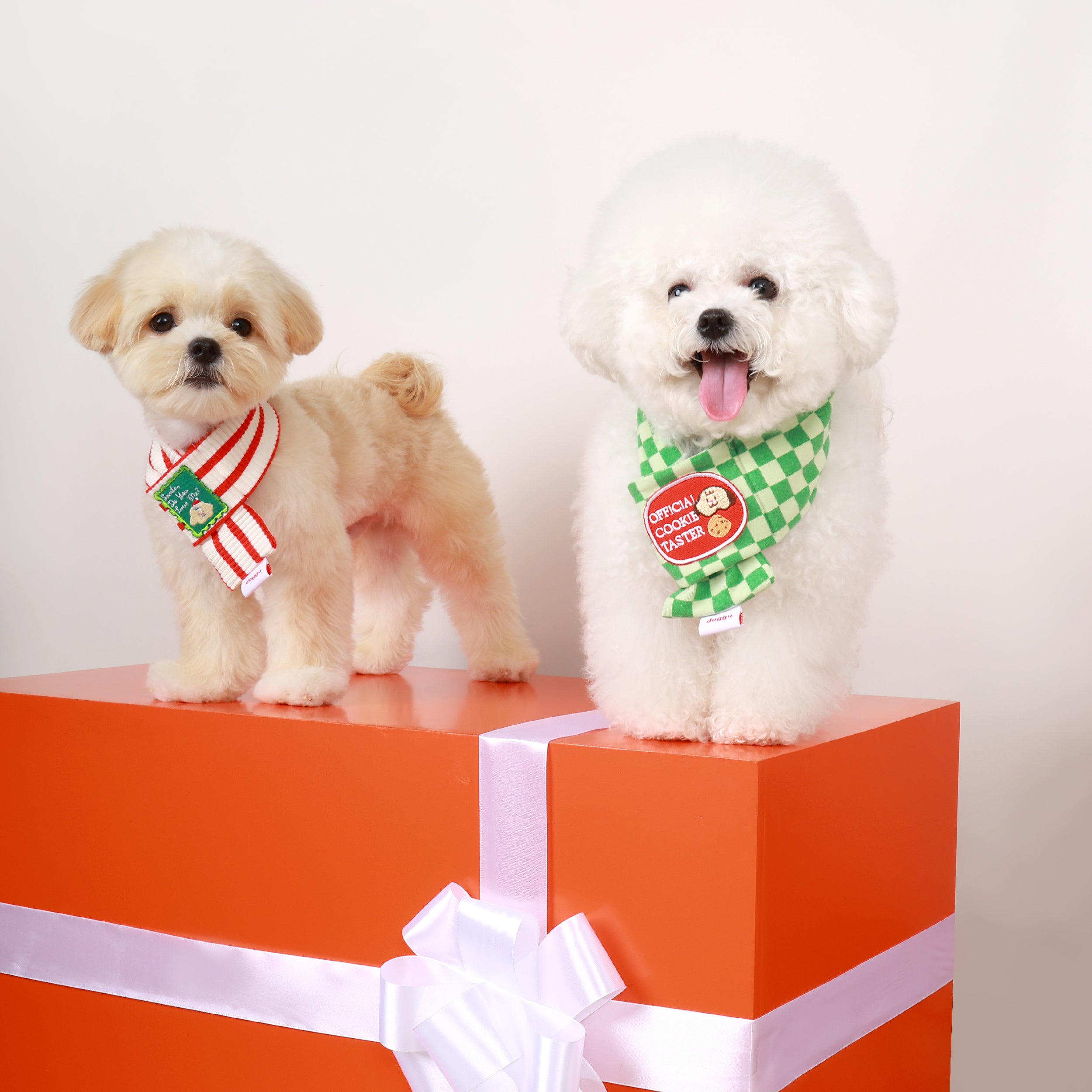 Holiday Reversible Scarf