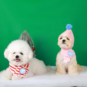 Holiday Reversible Scarf