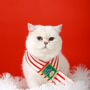 Holiday Reversible Scarf
