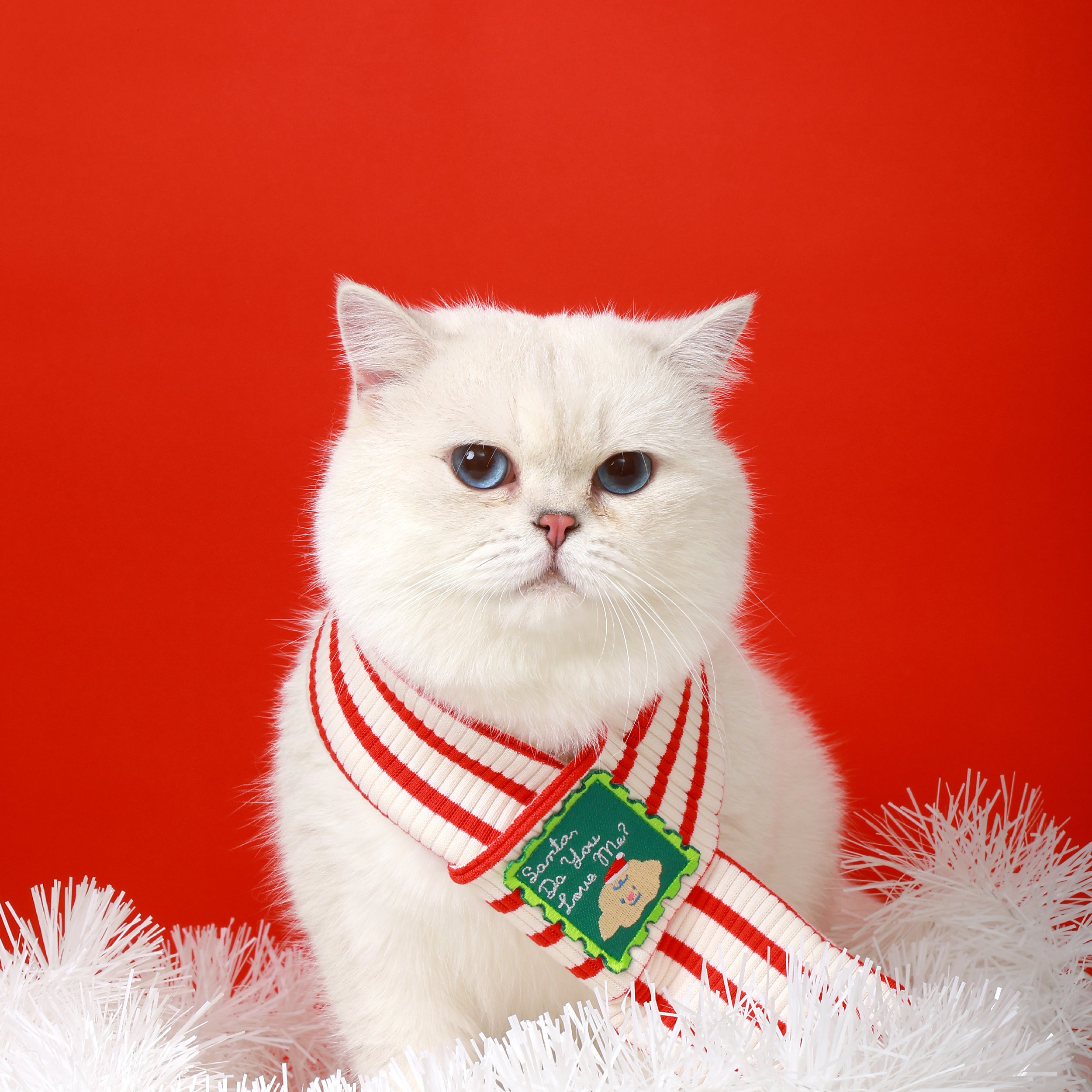 Holiday Reversible Scarf