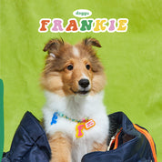 Create your own: Frankie Necklace