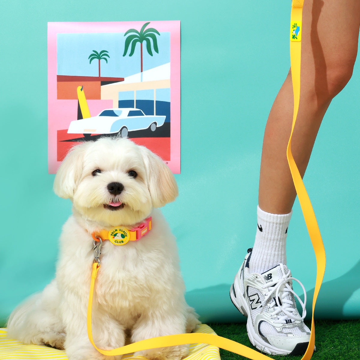 Palm Beach Club Waterproof Collar