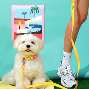 Palm Beach Club Waterproof Collar