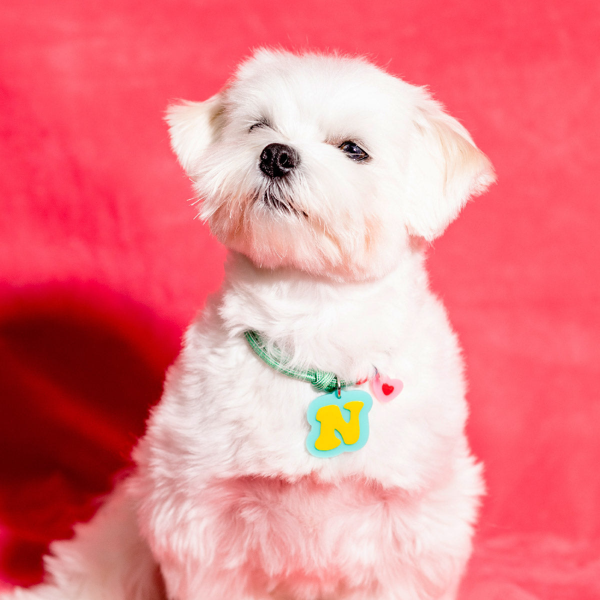 Create your own: Frankie Necklace