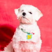 Create your own: Frankie Necklace
