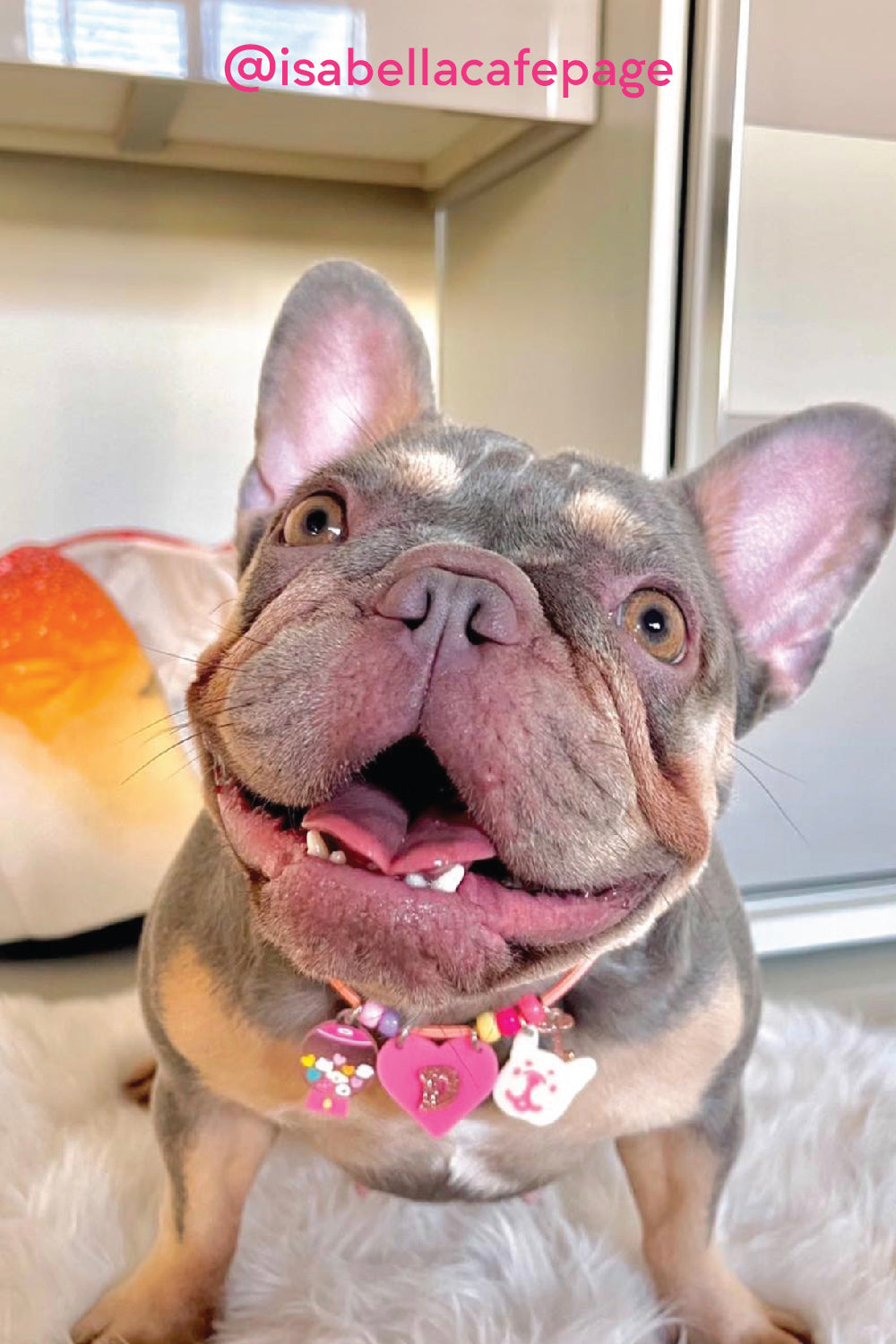 Create your own : Sweetie Pie Necklace