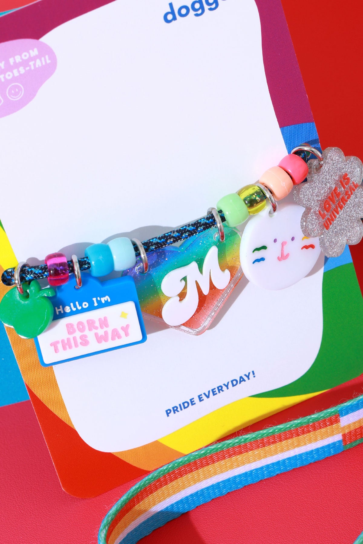 Create your own : Rainbow Pride Necklace