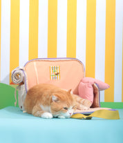 Ogo ogo Pet carrier