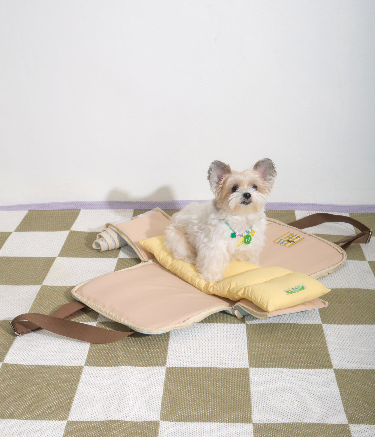 Ogo ogo Pet carrier