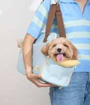 Ogo ogo Pet carrier