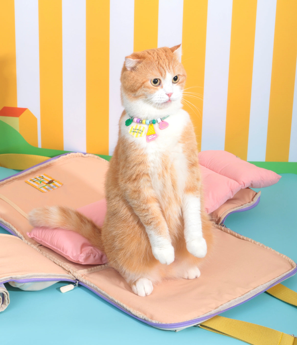 Ogo ogo Pet carrier