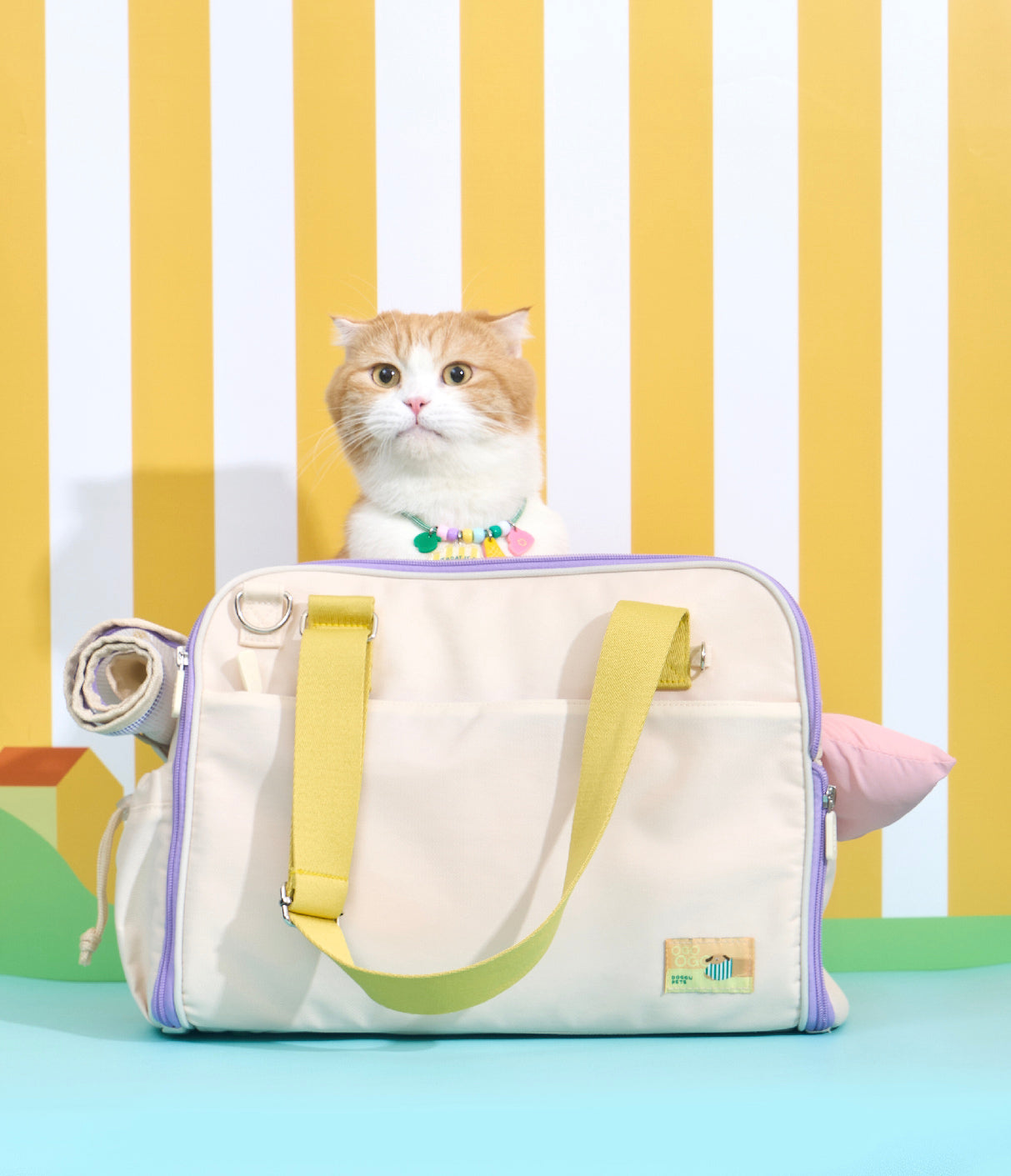 Ogo ogo Pet carrier
