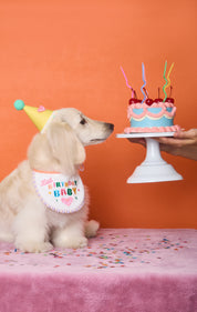 Vegan leather birthday party hat