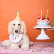 Bib Bib hooray II Birthday bib