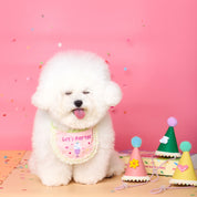 Bib Bib hooray II Birthday bib