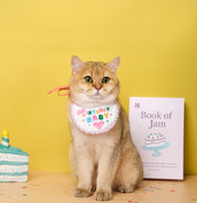 Bib Bib hooray II Birthday bib