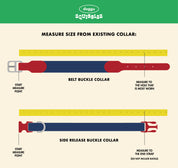 Create your own: Squiggles Collar
