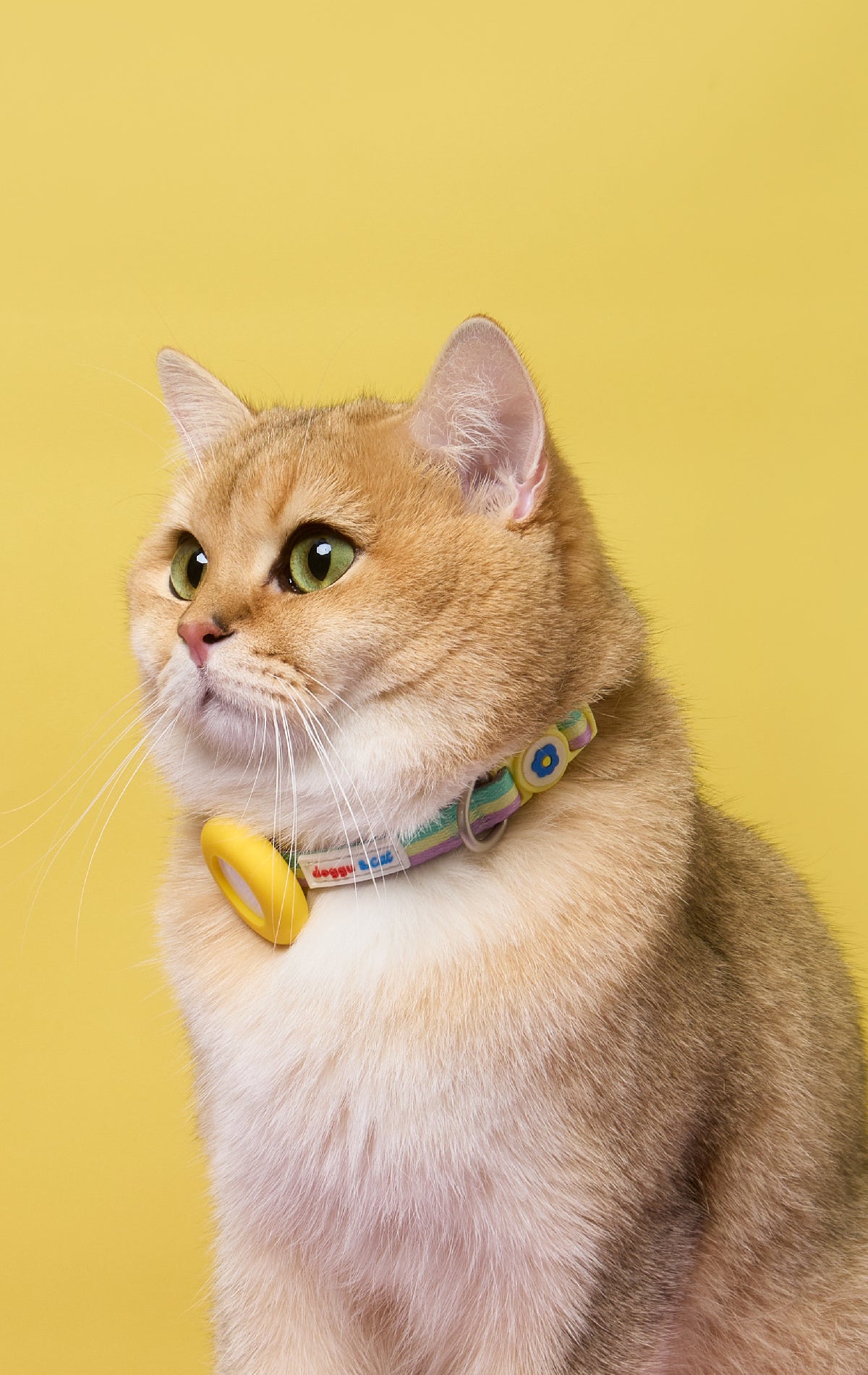 Doggu & Cat Safety buckle airtag collar