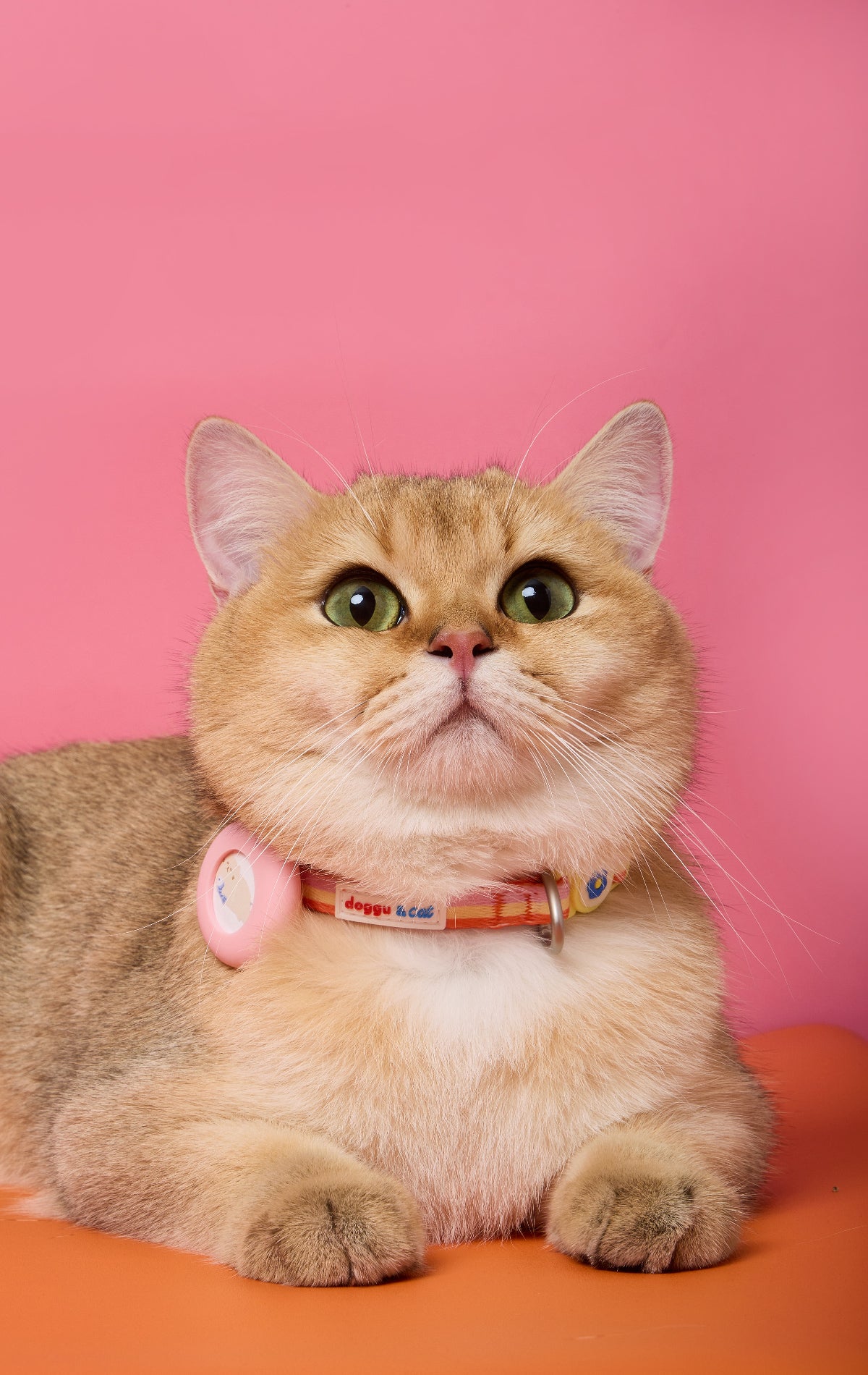 Doggu & Cat Safety buckle airtag collar