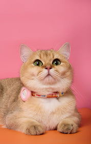 Doggu & Cat Safety buckle airtag collar