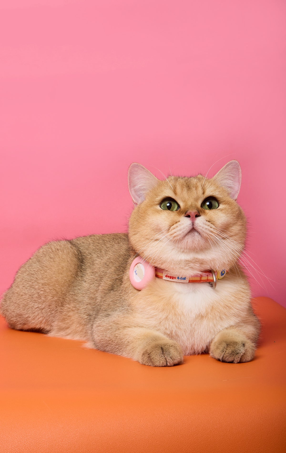 Doggu & Cat Safety buckle airtag collar