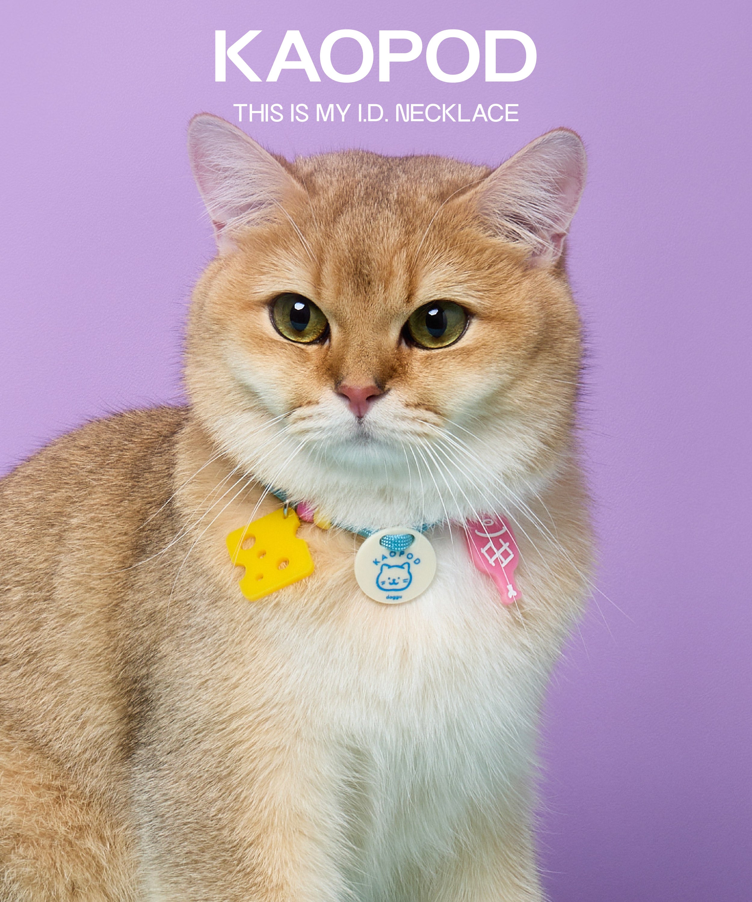 idnecklace-04.jpg