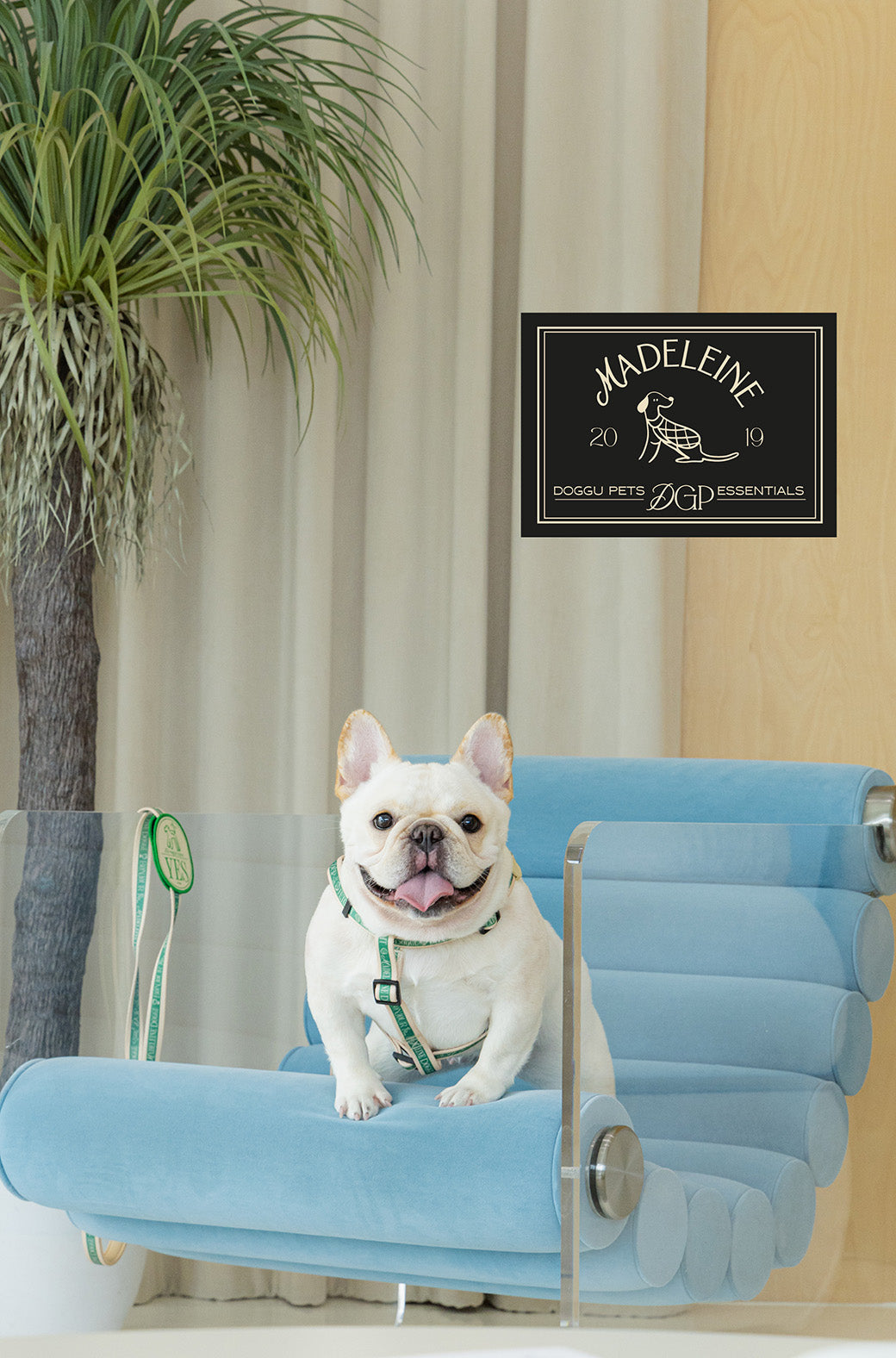 Madeleine Harness and Leash SET