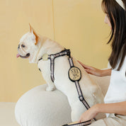 Madeleine Harness and Leash SET