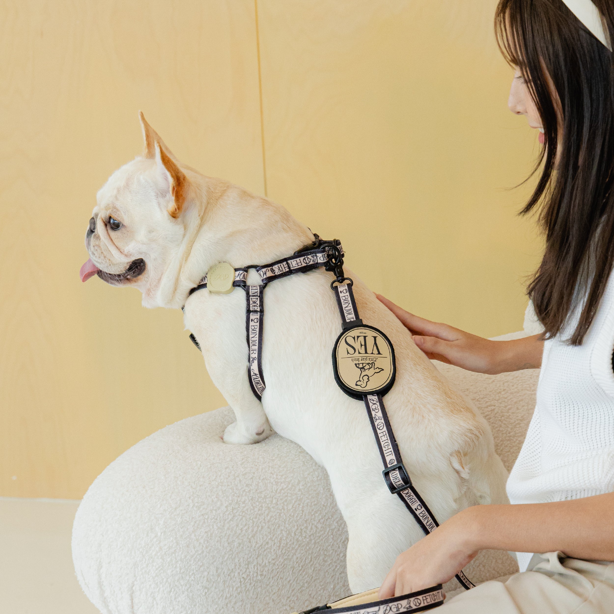 Madeleine Harness and Leash SET