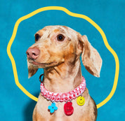 Create your own: Squiggles Collar
