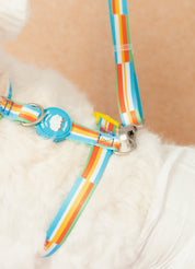 Did someone say walk Harness: Malibu