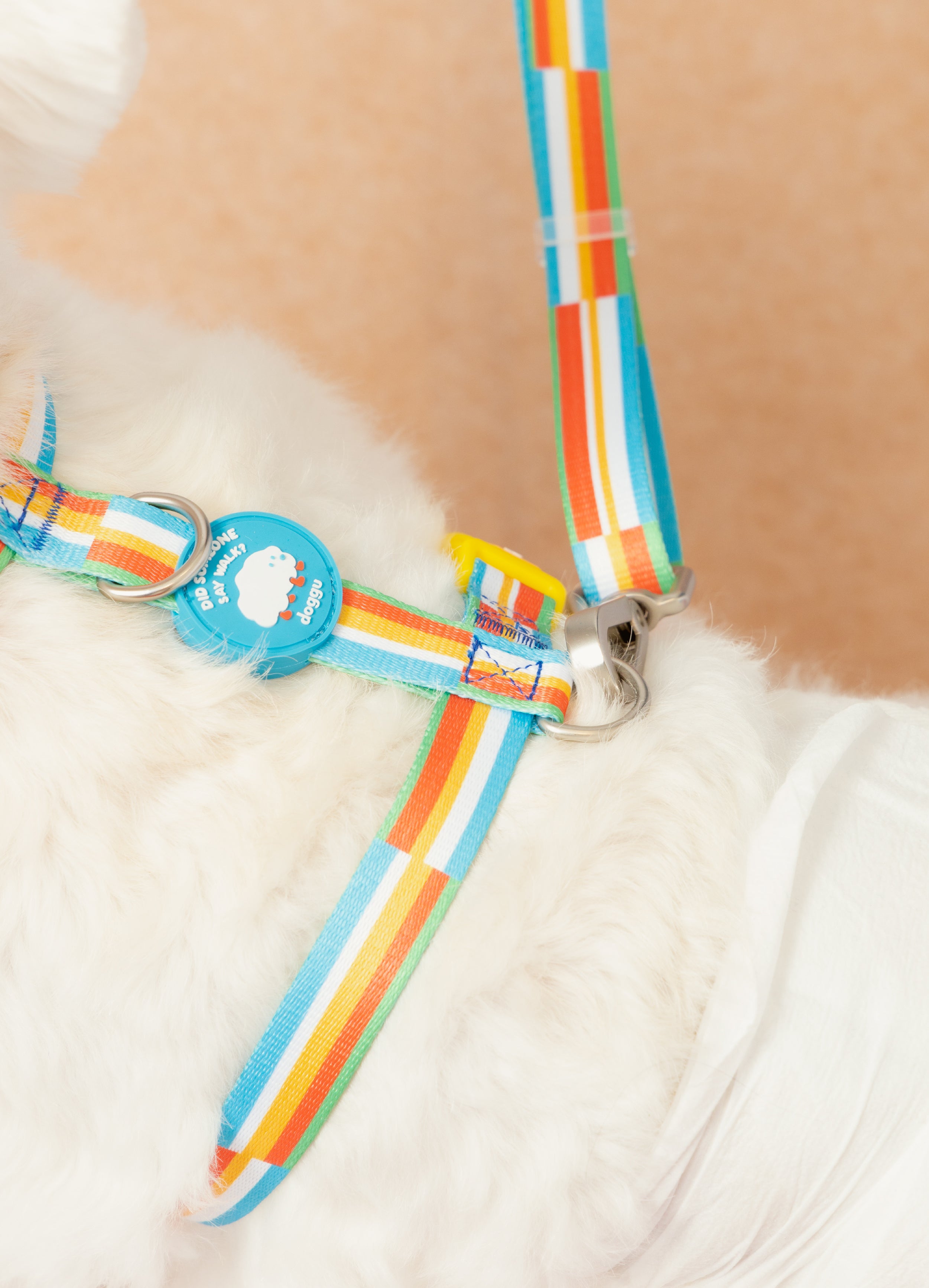 Did someone say walk Harness: Malibu