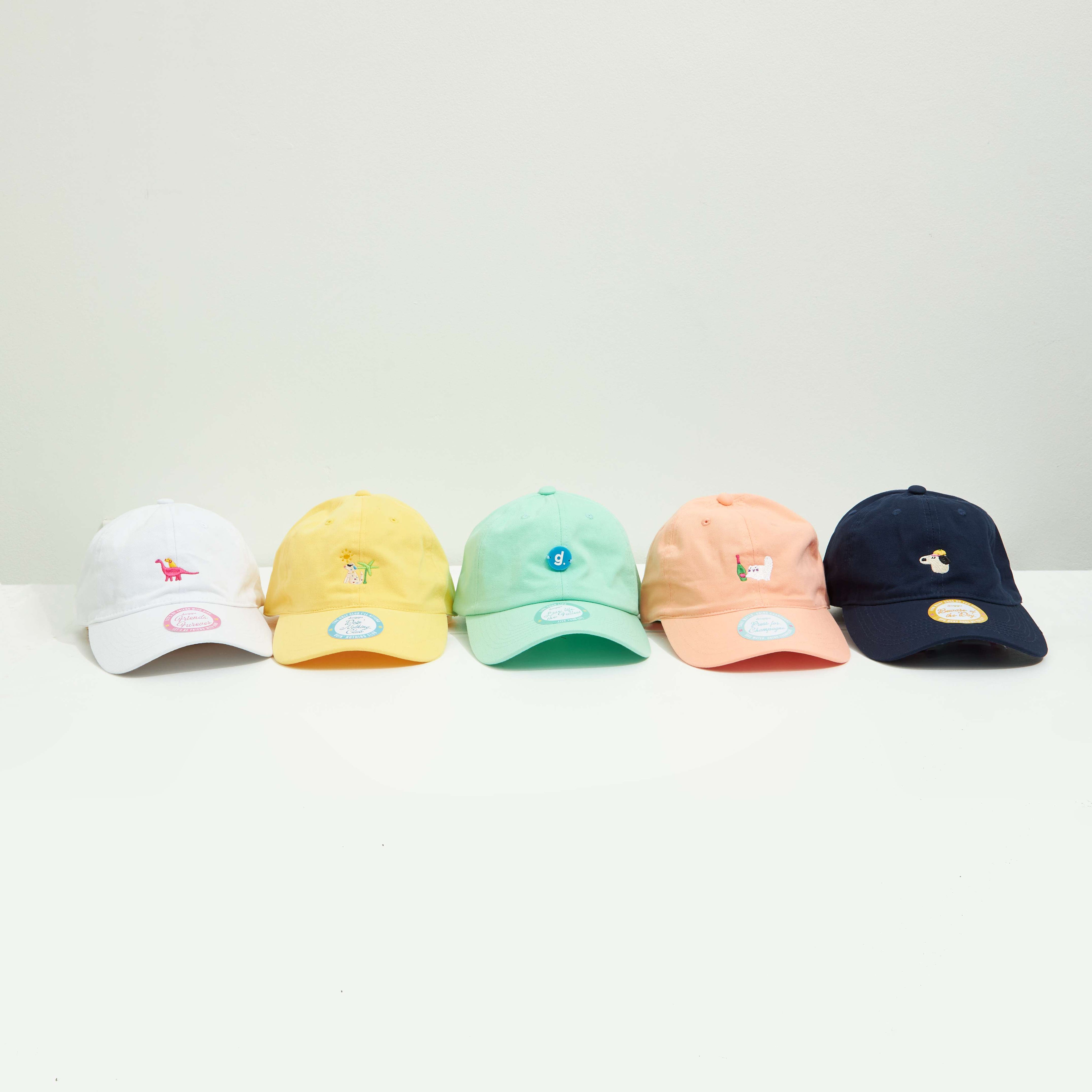 Every Season Cap : Beware of the Dog (Navy)