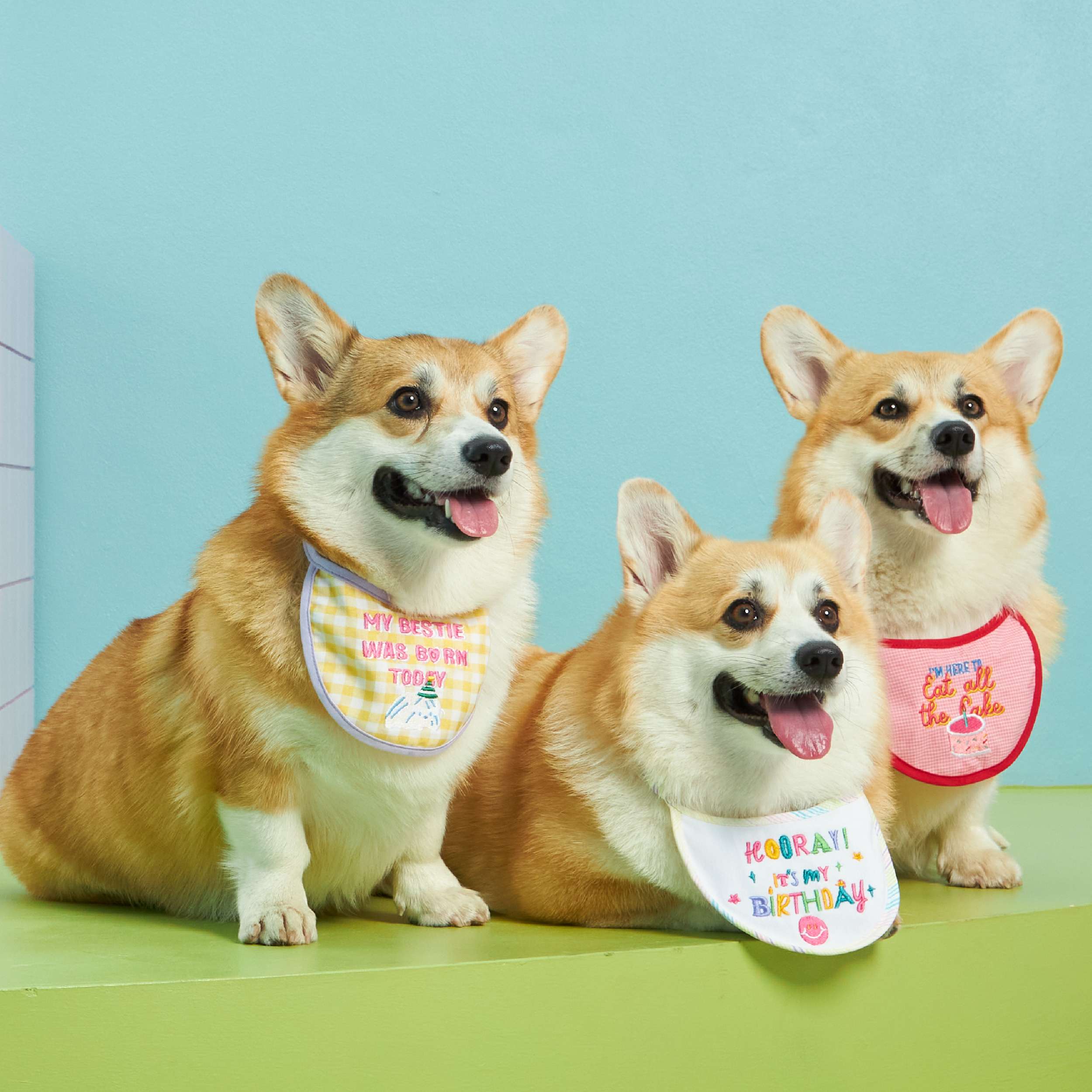 Bib Bib Hooray FULL SET! 🎉